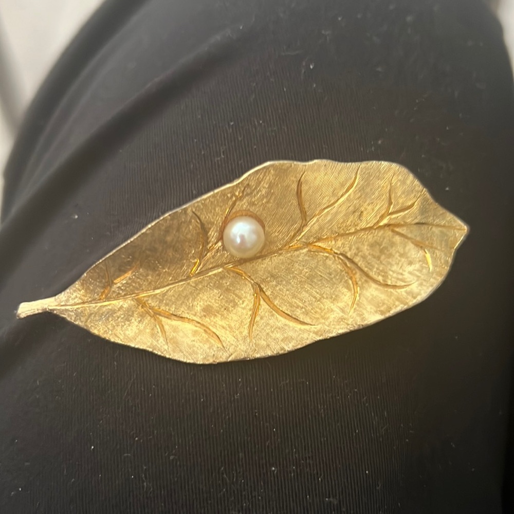 Brooch pin